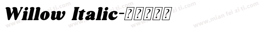 Willow Italic字体转换